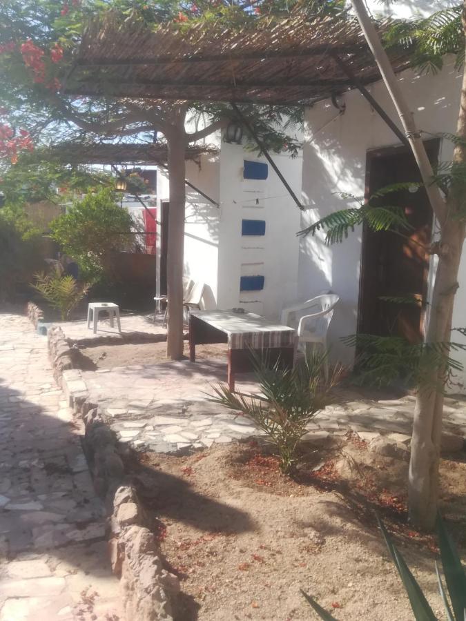 Bedouins Inn Village Aqaba Exterior photo
